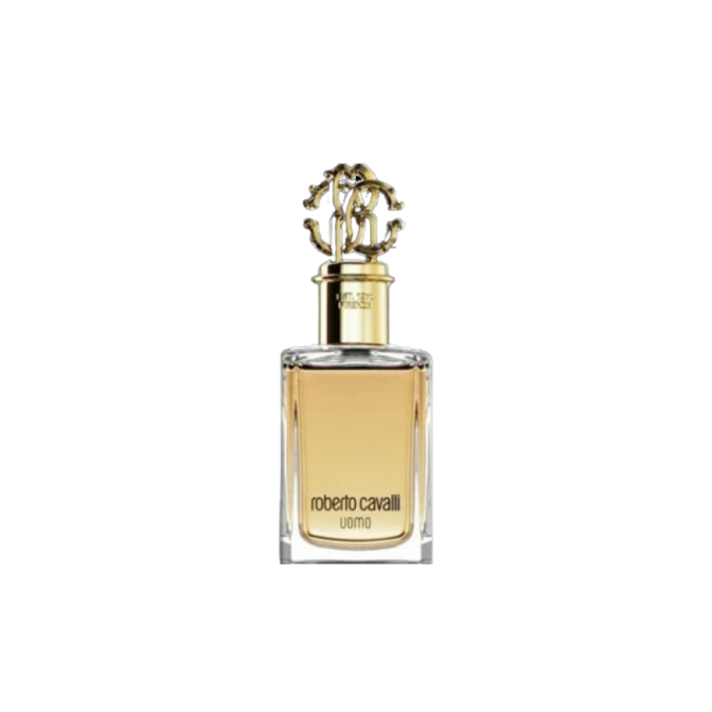 Roberto Cavalli Uomo Eau de Toilette 100ml