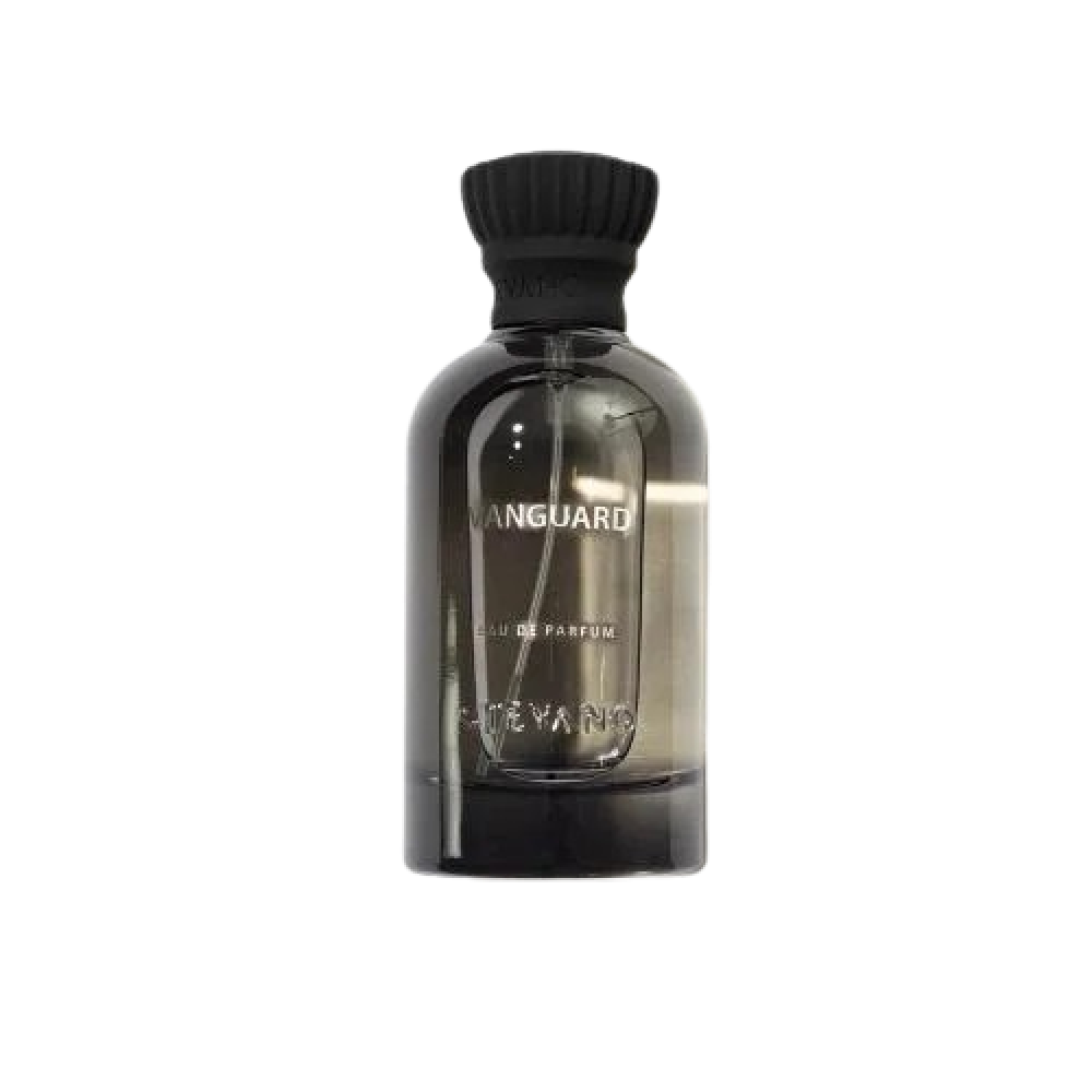 Vanguard by Stefano 100ml perfume