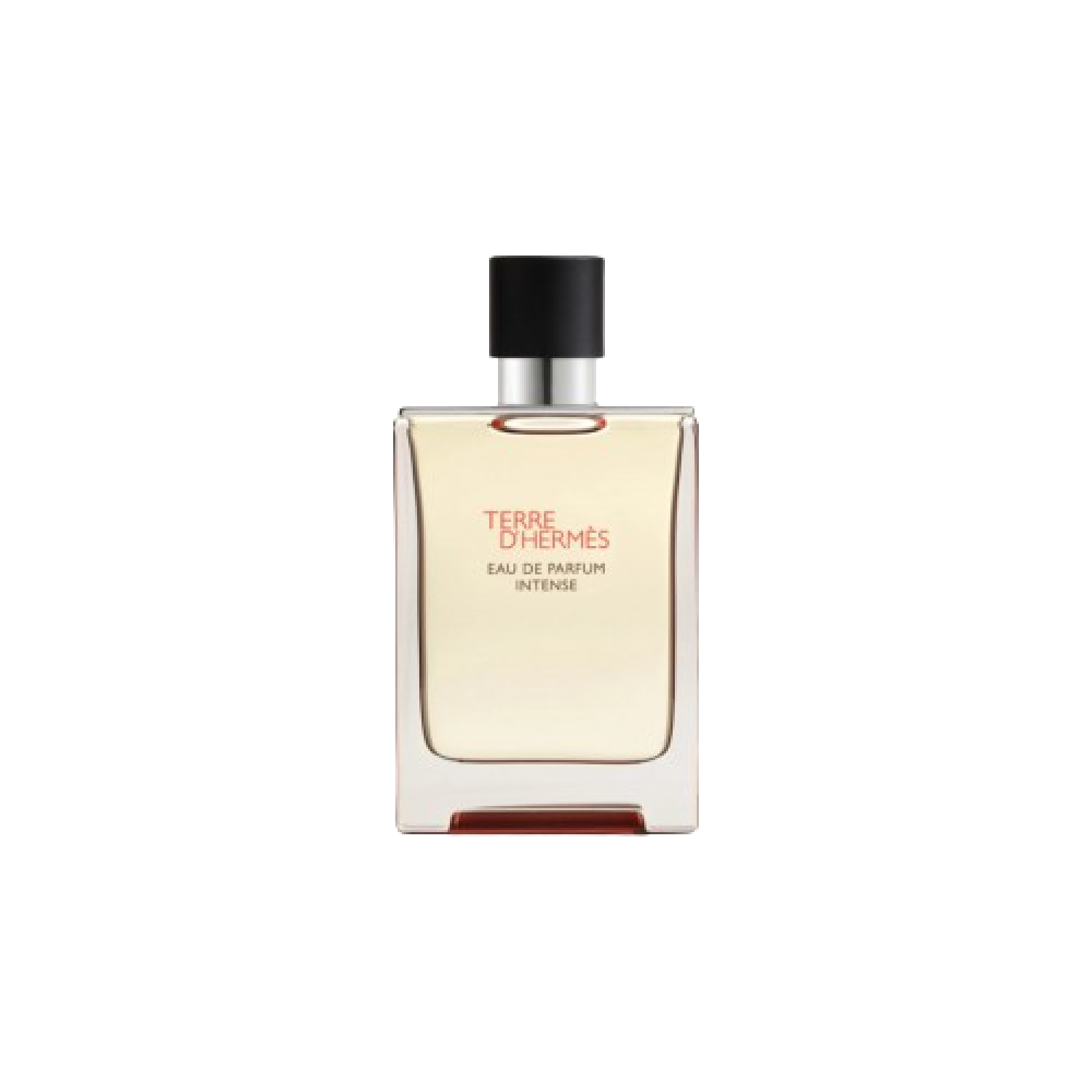 Hermes Terre D'Hermes Eau de Parfum Intense 100ml