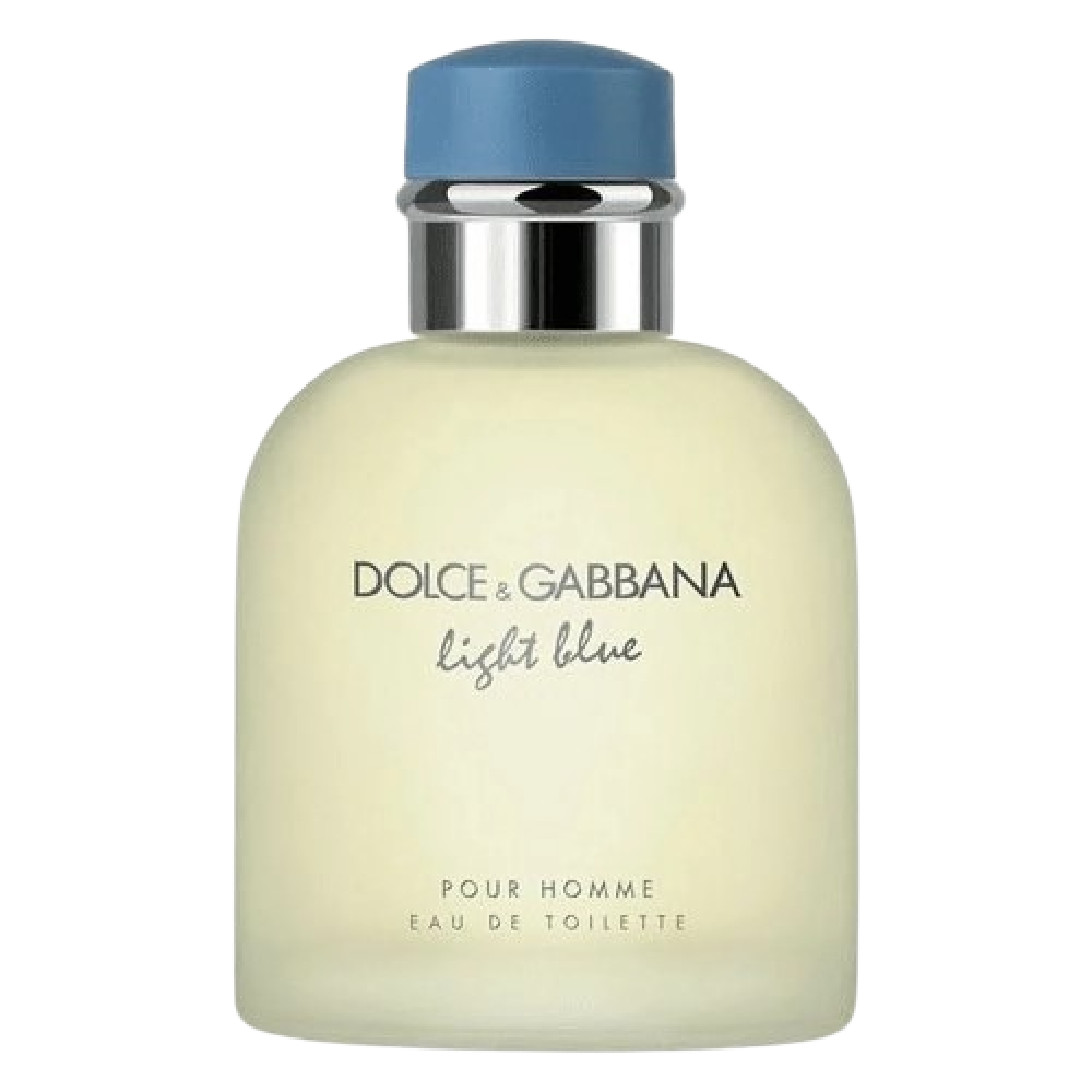 Dolce & Gabbana Light Blue Pour Homme Eau de Toilette 100ml